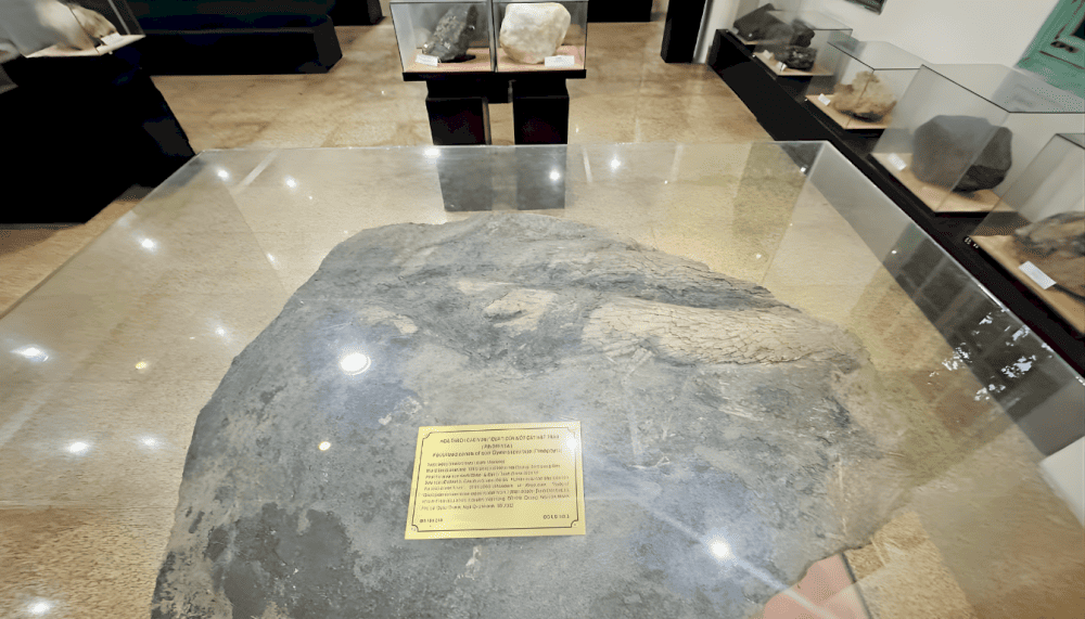 This is an ideal destination for those who love exploring the natural world (Source: Fanpage Bảo tàng Địa chất - Geological Museum of Vietnam)